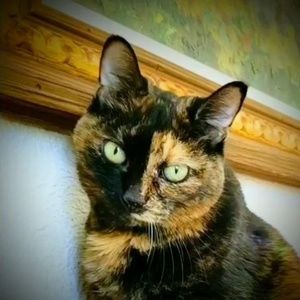 Meet your Posher, Tina